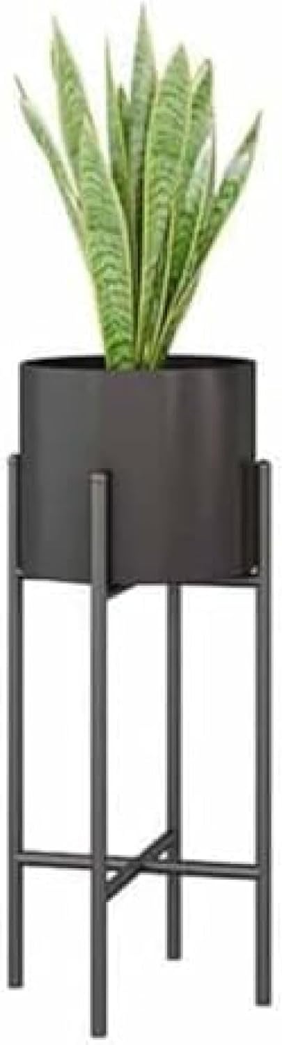 CURVE （Matte Black）3~8号 6点セット 作家鉢 アガベ 大型 CURVE （Matte Black）3~8号 6点セット 作家鉢 アガベ 大型 アガベ 用